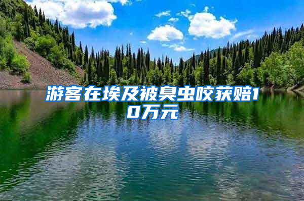 游客在埃及被臭蟲(chóng)咬獲賠10萬(wàn)元