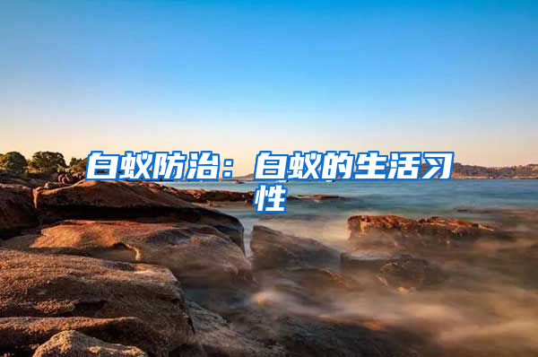 白蟻防治：白蟻的生活習性