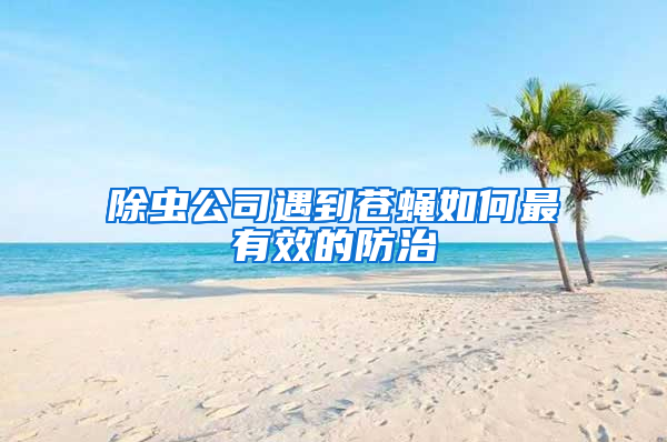 除蟲(chóng)公司遇到蒼蠅如何最有效的防治