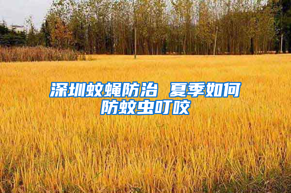 深圳蚊蠅防治 夏季如何防蚊蟲叮咬
