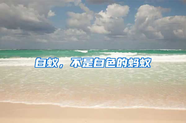 白蟻，不是白色的螞蟻
