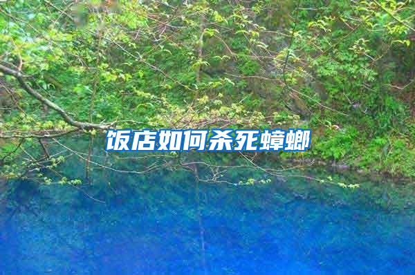 飯店如何殺死蟑螂