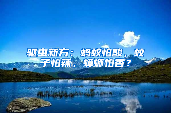驅蟲新方：螞蟻怕酸，蚊子怕辣，蟑螂怕香？