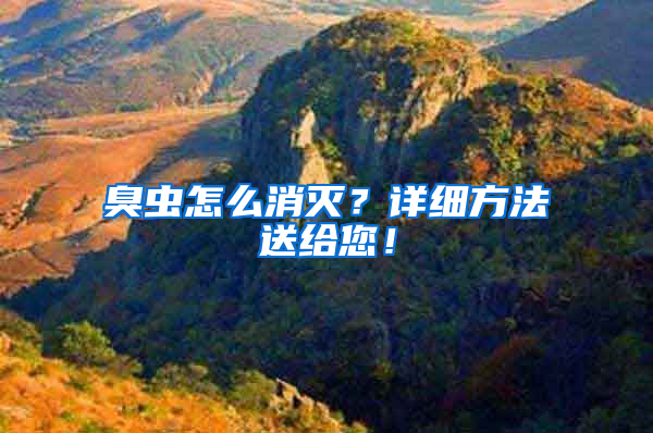臭蟲怎么消滅？詳細方法送給您！