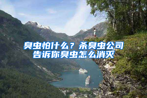 臭蟲怕什么？殺臭蟲公司告訴你臭蟲怎么消滅