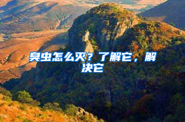 臭蟲怎么滅？了解它，解決它