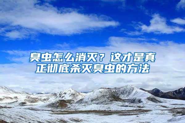 臭蟲(chóng)怎么消滅？這才是真正徹底殺滅臭蟲(chóng)的方法