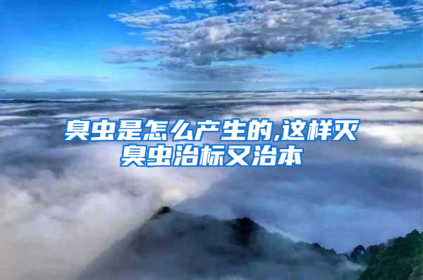 臭蟲是怎么產(chǎn)生的,這樣滅臭蟲治標(biāo)又治本
