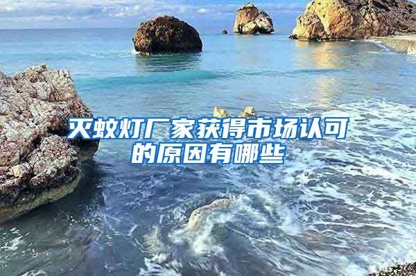 滅蚊燈廠家獲得市場認可的原因有哪些