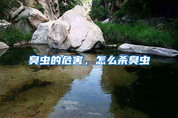 臭蟲的危害，怎么殺臭蟲