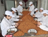四害消殺：食品、加工行業(yè)
