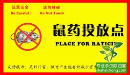 老鼠入室如何消滅？滅鼠公司專(zhuān)業(yè)分析